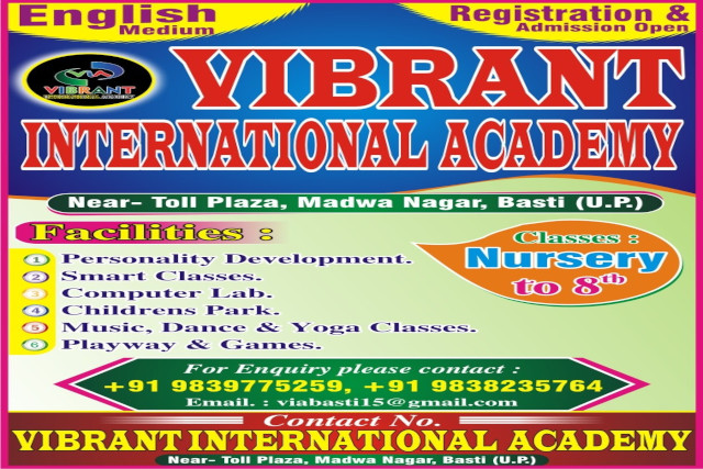 Vibrant International Academy